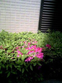 070414_1413〜04.jpg