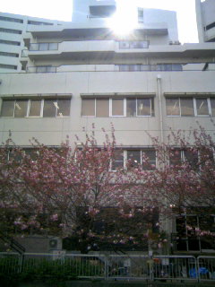 070414_1442〜02.jpg
