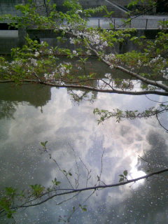 070414_1445〜03.jpg